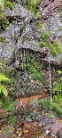 Plants: image 74 Of 208 Thumb